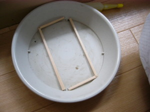 鉢の下の割り箸