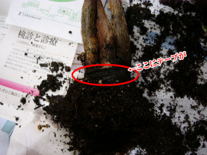 諸悪の根源ビニールテープ